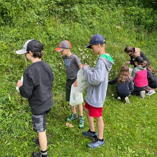 Kinder suchen Kräuter auf einer Wiese.