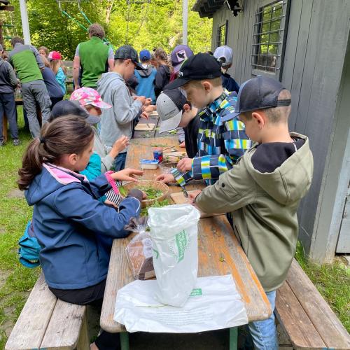 Die Kinder sortieren die Kräuter aus und säubern sie.