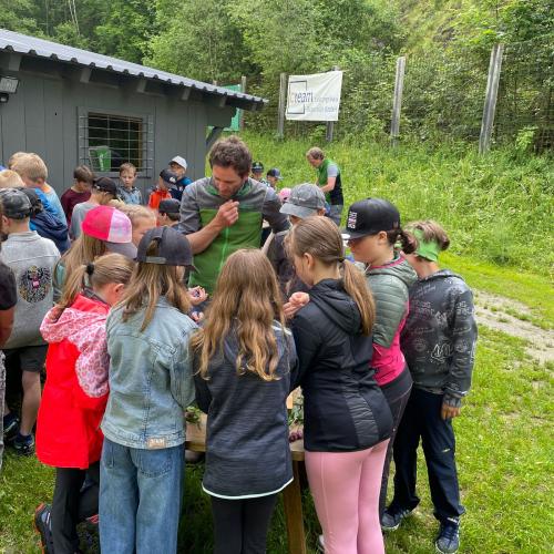 Ein Nationalparkranger erklärt den Kindern etwas über Kräuter.