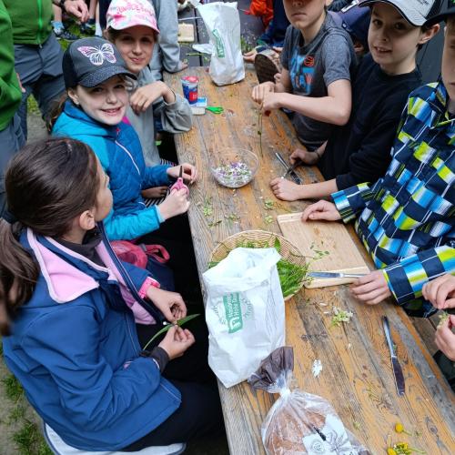 Die Kinder bereiten gemeinsam mit den Nationalparkrangern einen Kräuteraufstrich zu.