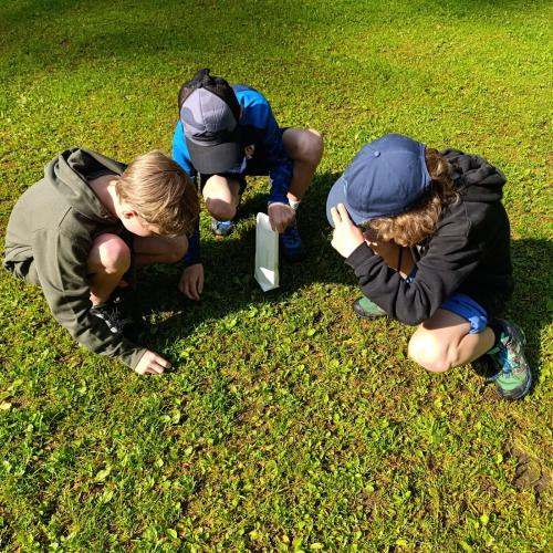 Kinder suchen Kräuter.