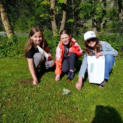 Kinder suchen Kräuter.