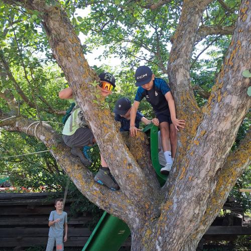 Kinder klettern auf einen Baum auf dem Spielplatz