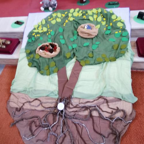 Ein Bild eines Baumes mit Vogelnestern in der Krone und tiefen Wurzeln. 