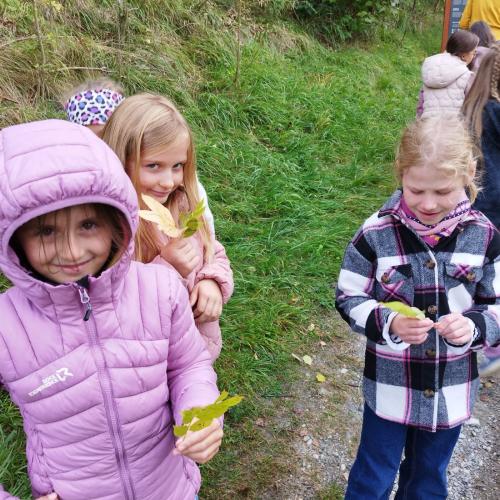 Kinder beim Blättersammeln