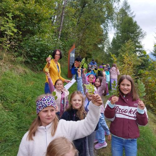 Kinder beim Blättersammeln