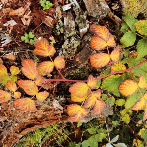 Kinder beim Wandertag.