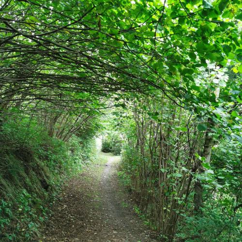 Kinder beim Wandertag.