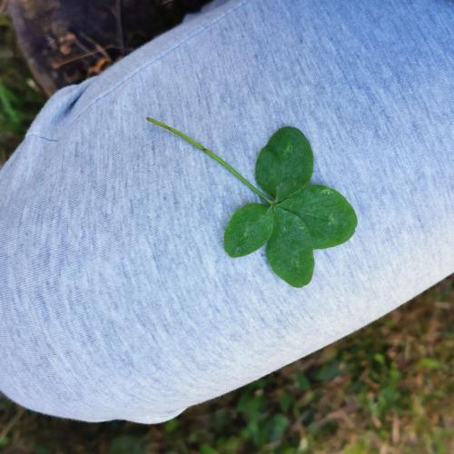 Kinder beim Wandertag.