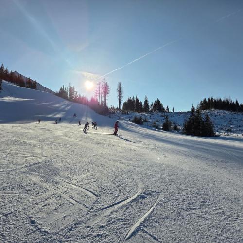 Kinder beim Schifahren
