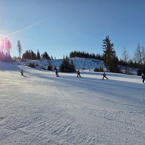 Kinder beim Schifahren