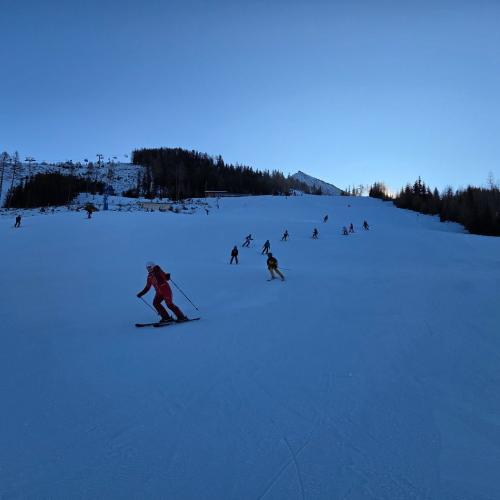 Kinder beim Schifahren
