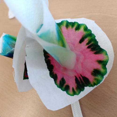 Experiment mit bemaltem Kaffeefilter in Wasser