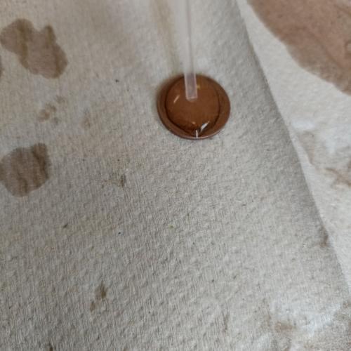 Experiment mit bemaltem Kaffeefilter in Wasser