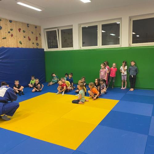 Abrollübungen im Judoraum