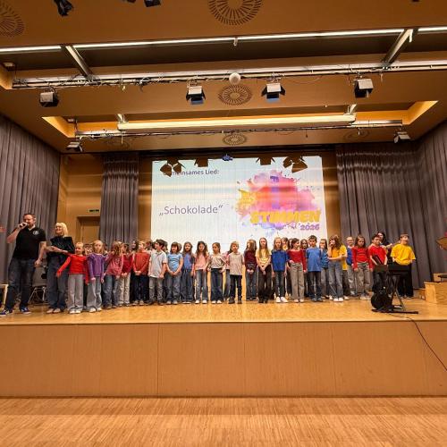 Unser Chor auf der Bühne beim Fest der Stimmen