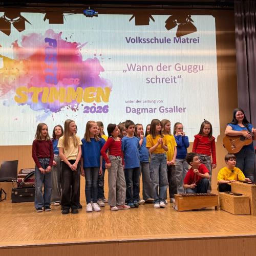 Unser Chor auf der Bühne beim Fest der Stimmen
