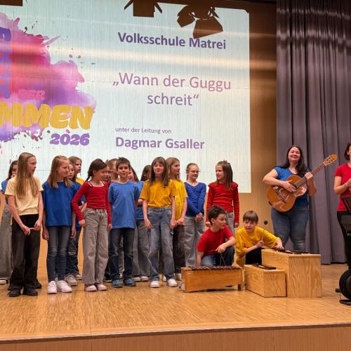 Unser Chor auf der Bühne beim Fest der Stimmen
