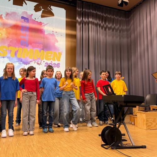 Unser Chor auf der Bühne beim Fest der Stimmen