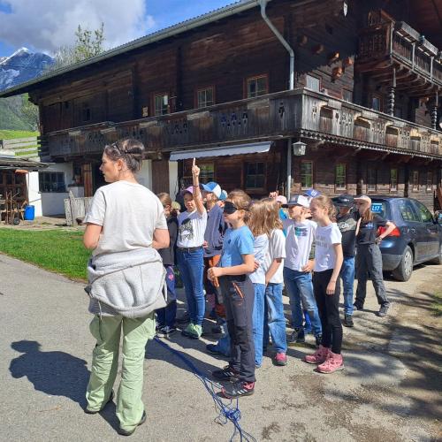 Kinder erhalten eine Erklärung zum Beobachten von Vögeln