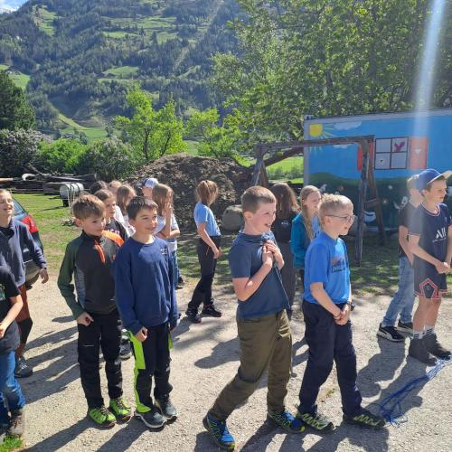 Kinder machen sich auf die Suche nach Wiesenvögeln.