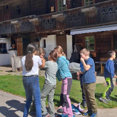 Kinder machen sich auf die Suche nach Wiesenvögeln.