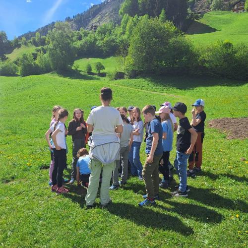Kinder machen sich auf die Suche nach Wiesenvögeln.