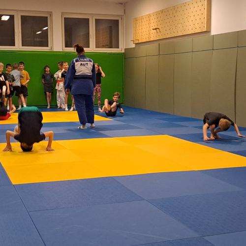 Kinder machen Judoübungen mit Stefanie Rainer.