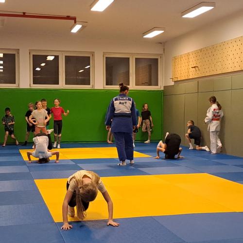 Kinder machen Judoübungen mit Stefanie Rainer.