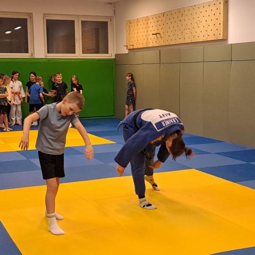 Kinder machen Judoübungen mit Stefanie Rainer.