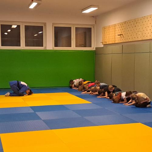 Kinder machen Judoübungen mit Stefanie Rainer.
