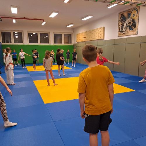 Kinder machen Judoübungen mit Stefanie Rainer.