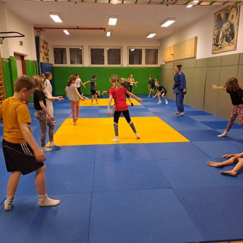 Kinder machen Judoübungen mit Stefanie Rainer.