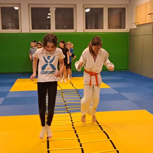 Kinder machen Judoübungen mit Stefanie Rainer.