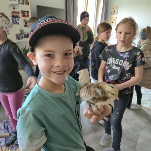 Die Kinder der 3a-Klasse besuchten ihre Schulkollegin Elsa mit ihren Küken.