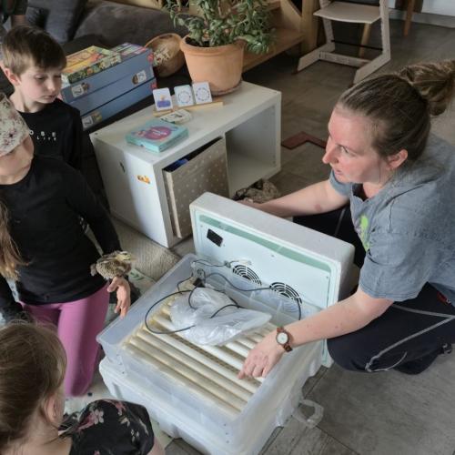 Die Kinder der 3a-Klasse besuchten ihre Schulkollegin Elsa mit ihren Küken.