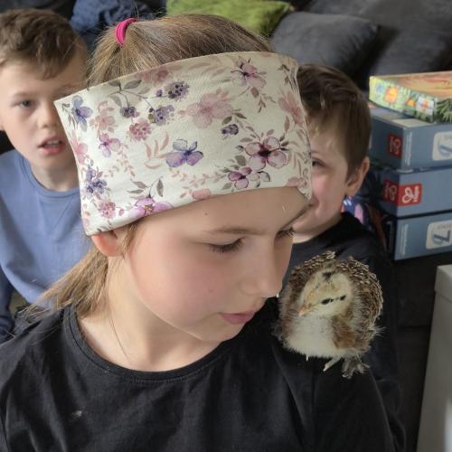 Die Kinder der 3a-Klasse besuchten ihre Schulkollegin Elsa mit ihren Küken.