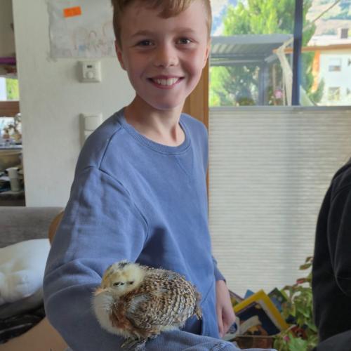 Die Kinder der 3a-Klasse besuchten ihre Schulkollegin Elsa mit ihren Küken.