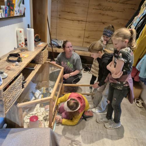 Die Kinder der 3a-Klasse besuchten ihre Schulkollegin Elsa mit ihren Küken.