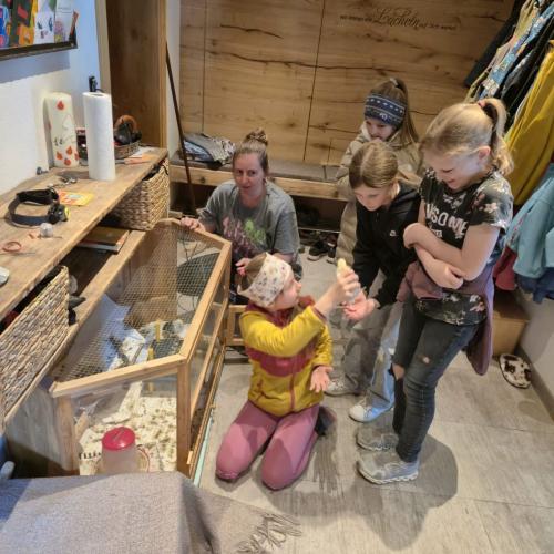 Die Kinder der 3a-Klasse besuchten ihre Schulkollegin Elsa mit ihren Küken.