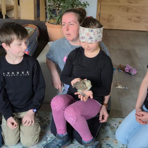 Die Kinder der 3a-Klasse besuchten ihre Schulkollegin Elsa mit ihren Küken.