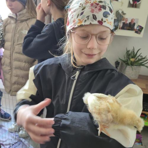 Die Kinder der 3a-Klasse besuchten ihre Schulkollegin Elsa mit ihren Küken.