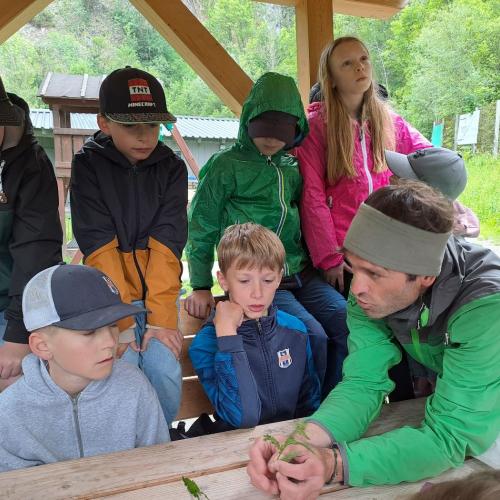 Nationalparkranger erklärt den Kindern verschiedene Kräuter.