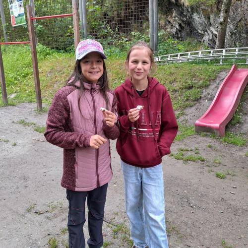 Die Kinder essen die Brote mit dem Kräuteraufstrich.
