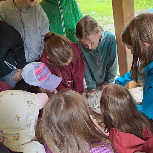 Die Kinder machen mit dem Nationalparkranger einen Kräuteraufstrich.