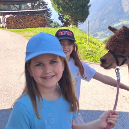 Die Kinder wandern mit den Alpakas.