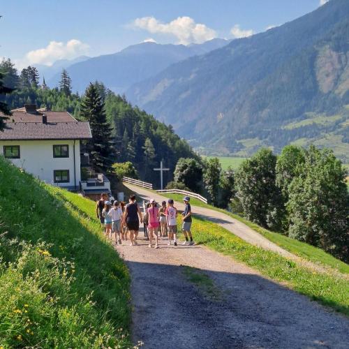 Die Kinder wandern mit den Alpakas.