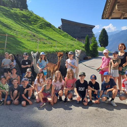 Gruppenfoto mit Kindern und Alpakas