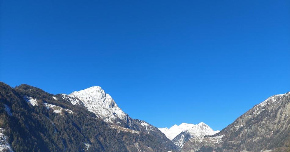 Rutscherle foan