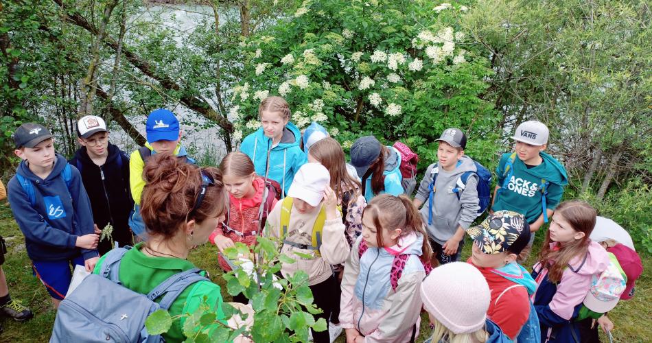 Klimaschule 4ab